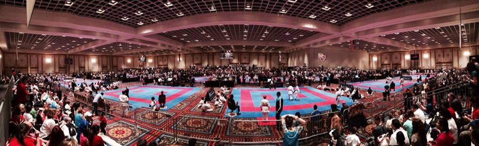 USA Open 2014